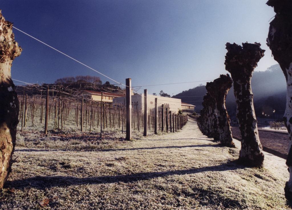 Hotel Villa Michelon Bento Goncalves Exterior photo